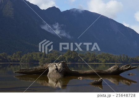 Reflections on Lake Rosselot 25648728