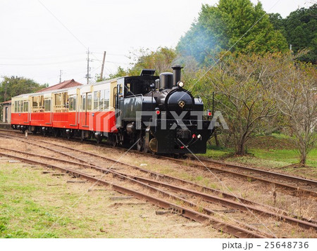 小湊鉄道の里山トロッコ 25648736