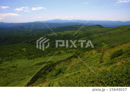 無意根山から見る真夏の高原風景 25649037