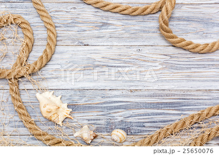 Marine rope and shell on white boards 25650076