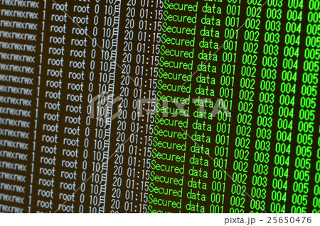 データセキュリティー 25650476