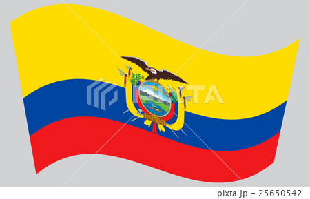 Flag of Ecuador waving on gray background 25650542