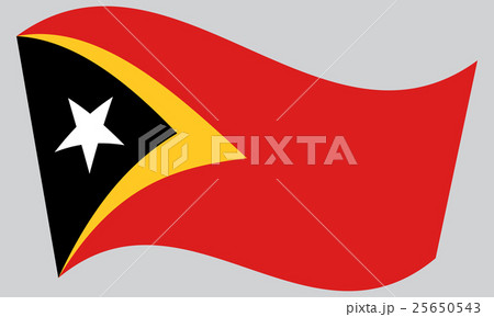 Flag of East Timor waving on gray background 25650543