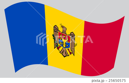 Flag of Moldova waving on gray background 25650575