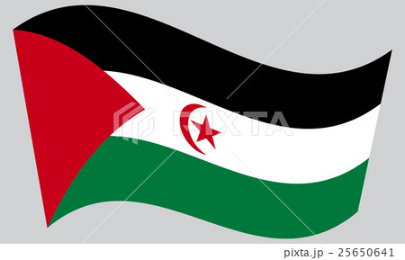 Flag of Western Sahara waving on gray background 25650641