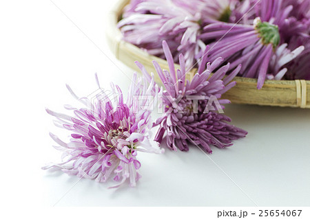 かきのもと7 かきのもと7 25654067