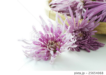 かきのもと8 かきのもと8 25654068