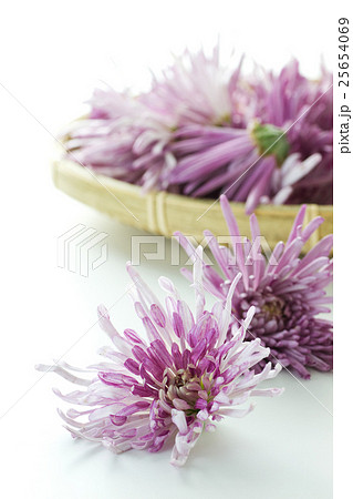 かきのもと9 25654069