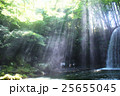 木漏れ日 25655045