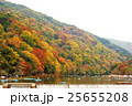嵐山の紅葉 25655208