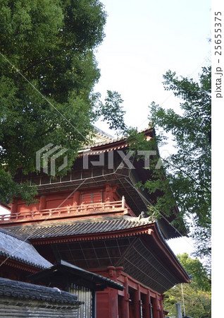 増上寺の「三解脱門」（東京都港区芝公園） 25655375