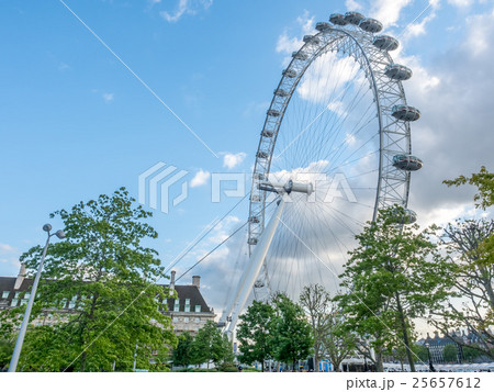 London eye and surrounding park in London London eye and surrounding park in London 25657612