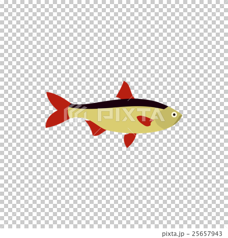 Rudd fish icon in flat style 25657943