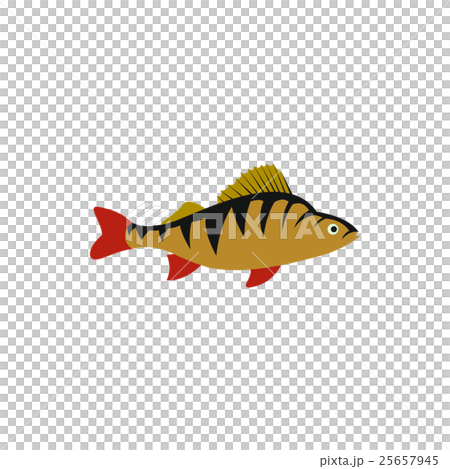 Perch fish icon in flat style - Stock Illustration [25657945] - PIXTA