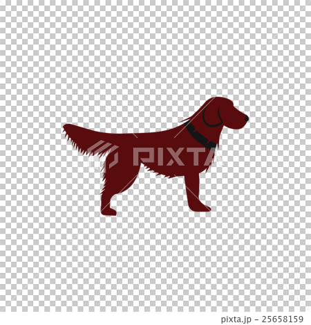 Irish setter icon, flat style 25658159