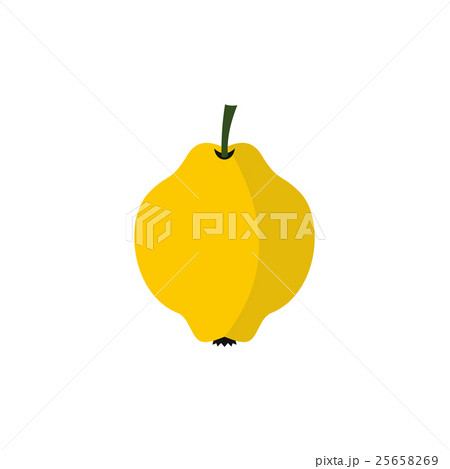 Yellow quince fruit icon, flat style 25658269