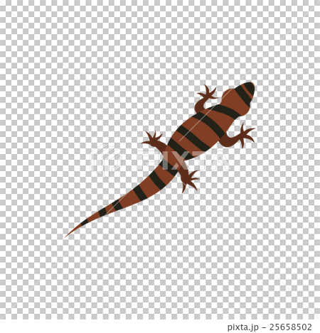Ambistoma tiger, salamander icon, flat style Ambistoma tiger, salamander icon, flat style 25658502