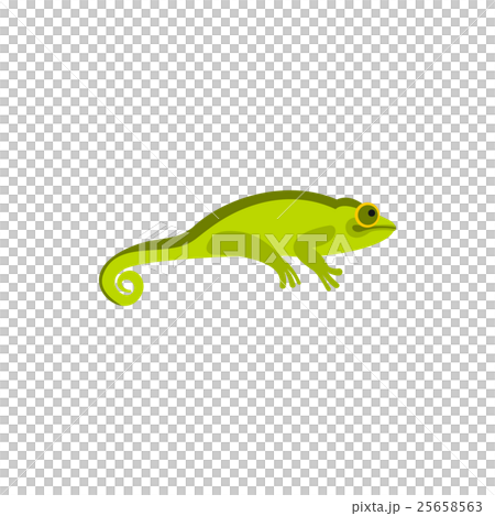 Chameleon icon in flat style Chameleon icon in flat style 25658563