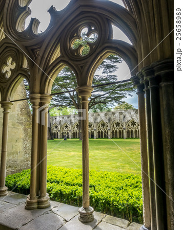 Salisbury cathedral cloister Salisbury cathedral cloister 25658989