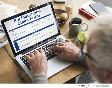Pet Insurance Claim Document Form Concept 25664006