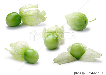 Tomatillos set (Physalis philadelphica), paths 25664434
