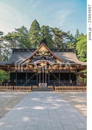 大崎八幡宮の風景 25664667