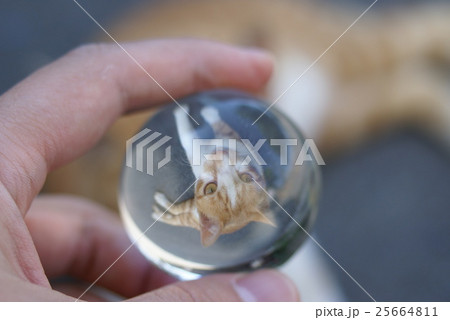 水晶玉 水晶球 水晶珠 25664811