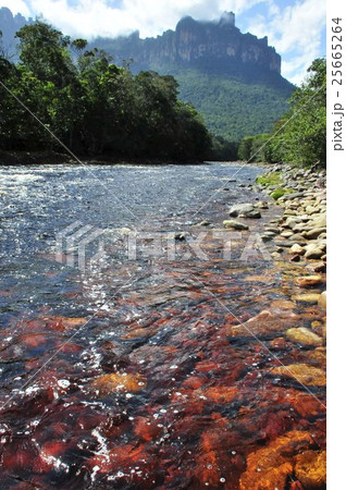 エンジェルフォールへの道 エンジェルフォールへの道 25665264