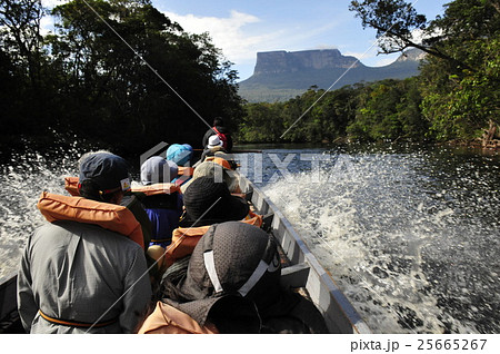 エンジェルフォールへの道 エンジェルフォールへの道 25665267
