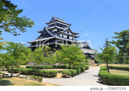 国宝 松江城 -別名：千鳥城- 25665530
