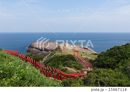元乃隅稲成神社（もとのすみいなりじんじゃ） 25667118