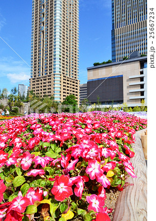 大阪 梅田の風景 大阪 梅田の風景 25667234