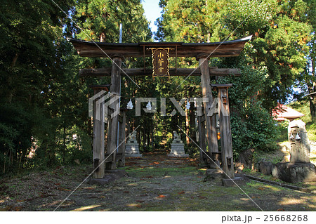 小菅の里　小菅神社里宮の参道と鳥居 25668268