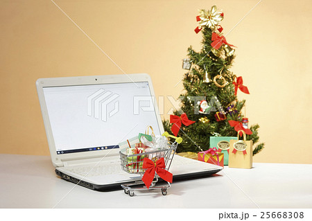 クリスマスのネットショッピング 25668308