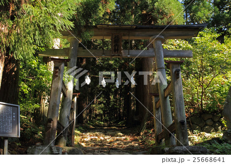小菅の里　小菅神社奥社参道と鳥居 25668641