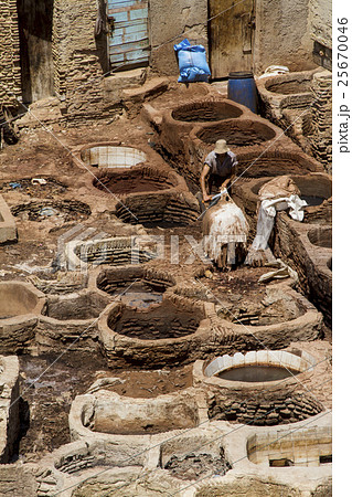 Tannery in Fes, Morocco 25670046