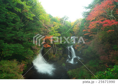 竜頭の滝 竜頭の滝 25671990