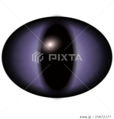 Raptor blue purple eye with large pupil  25672177