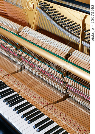 ピアノの構造(縦位置) ピアノの構造(縦位置) 25673962