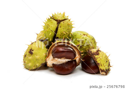 chestnuts 25676798