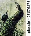 peacock 25676878