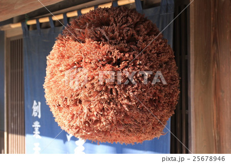 造り酒屋の杉玉 造り酒屋の杉玉 25678946