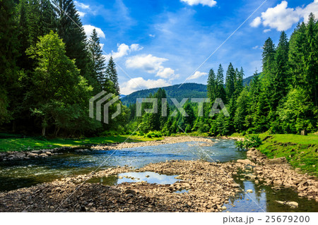 forest river with stones 25679200