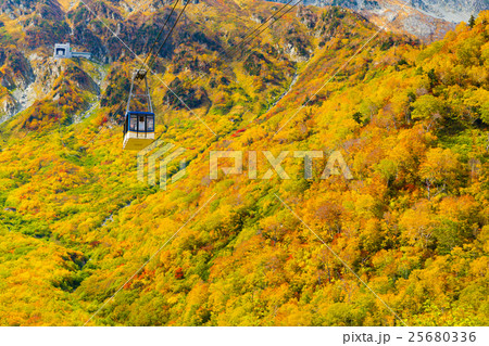 富山_黒部大観峰紅葉 25680336