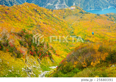 富山 黒部大観峰紅葉の写真素材