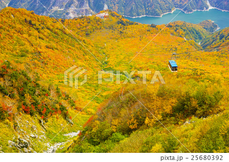 富山_黒部大観峰紅葉 25680392