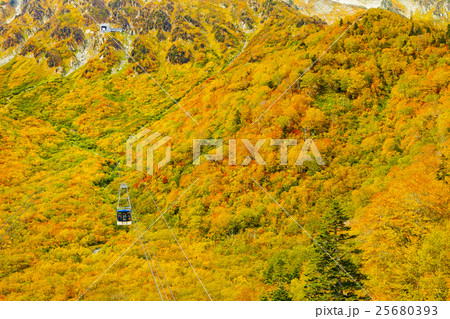 富山_黒部大観峰紅葉 25680393