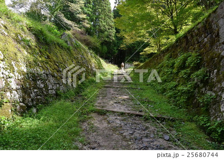 岩村城跡 25680744