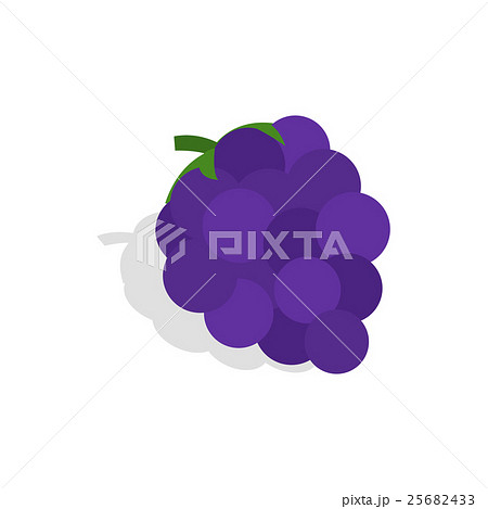 Bunch of blue grapes icon, isometric 3d style 25682433