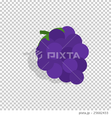 Bunch of blue grapes icon, isometric 3d style 25682433